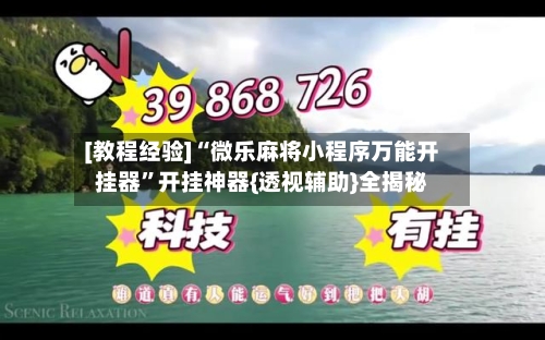[教程经验]“微乐麻将小程序万能开挂器”开挂神器{透视辅助}全揭秘-第3张图片