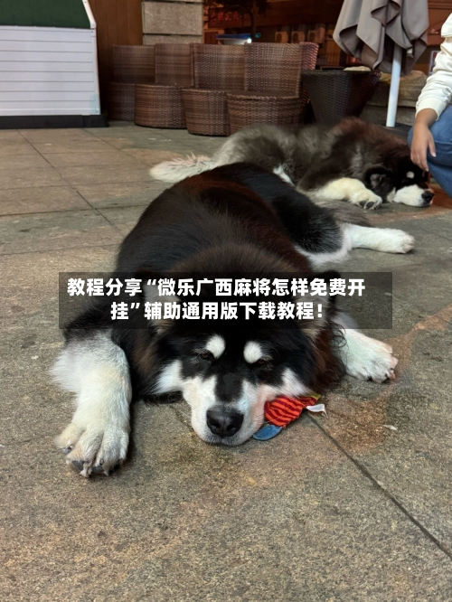 教程分享“微乐广西麻将怎样免费开挂	”辅助通用版下载教程！-第2张图片