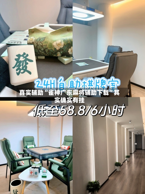 真实辅助“雀神广东麻将辅助下载”其实确实有挂-第2张图片