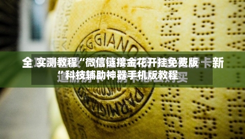 实测教程“微信链接金花开挂免费版”科技辅助神器手机版教程-第2张图片