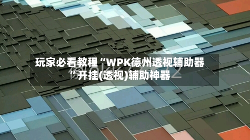 玩家必看教程“WPK德州透视辅助器	”开挂(透视)辅助神器-第3张图片