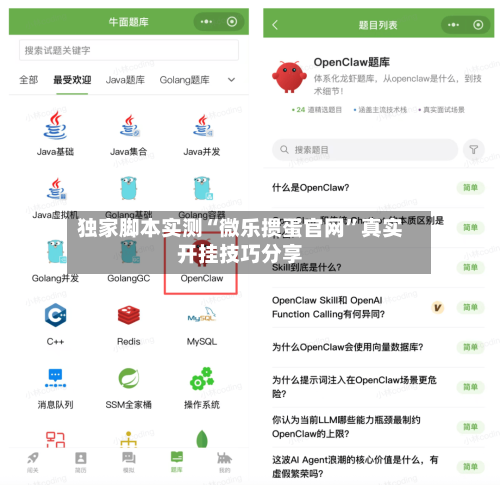 独家脚本实测“微乐掼蛋官网”真实开挂技巧分享-第3张图片