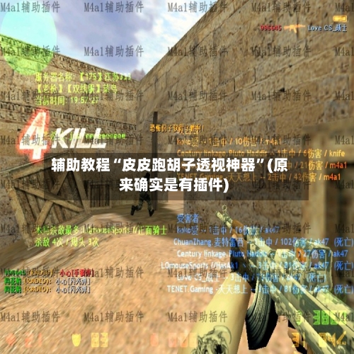 辅助教程“皮皮跑胡子透视神器	”(原来确实是有插件)-第2张图片