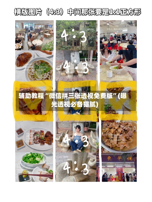 辅助教程“微信拼三张透视免费版”(曝光透视必备猫腻)-第2张图片