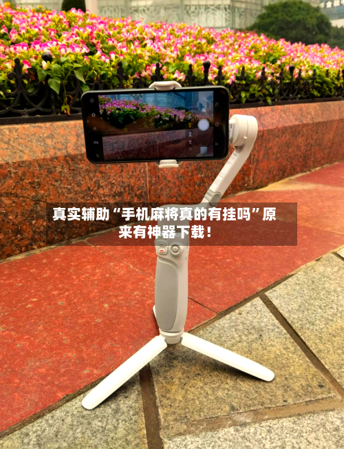 真实辅助“手机麻将真的有挂吗	”原来有神器下载！-第2张图片