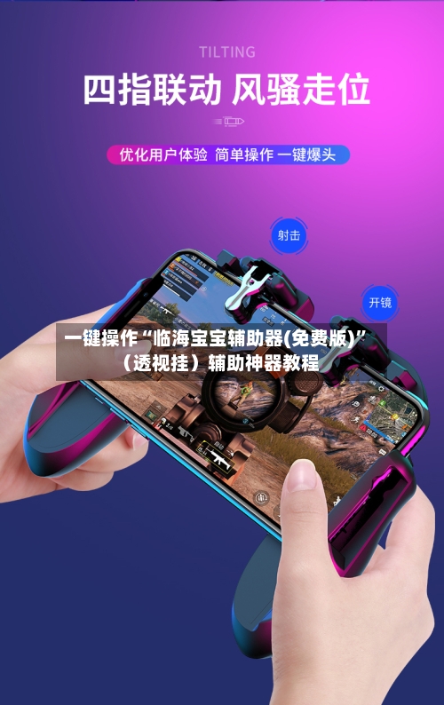 一键操作“临海宝宝辅助器(免费版)”（透视挂）辅助神器教程-第2张图片