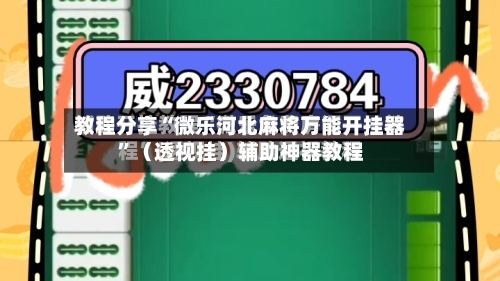 教程分享“微乐河北麻将万能开挂器”（透视挂）辅助神器教程-第2张图片