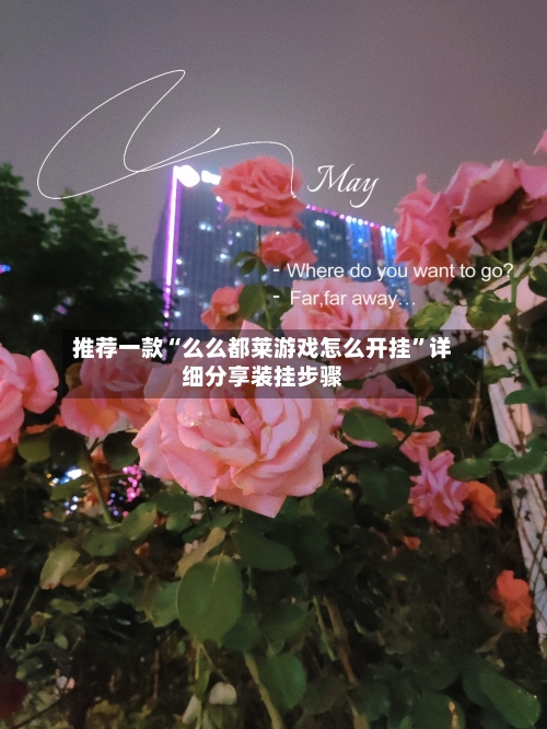 推荐一款“么么都莱游戏怎么开挂”详细分享装挂步骤-第2张图片