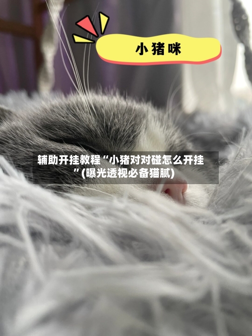 辅助开挂教程“小猪对对碰怎么开挂”(曝光透视必备猫腻)