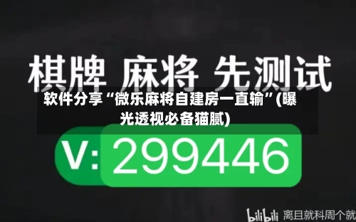 软件分享“微乐麻将自建房一直输”(曝光透视必备猫腻)-第3张图片