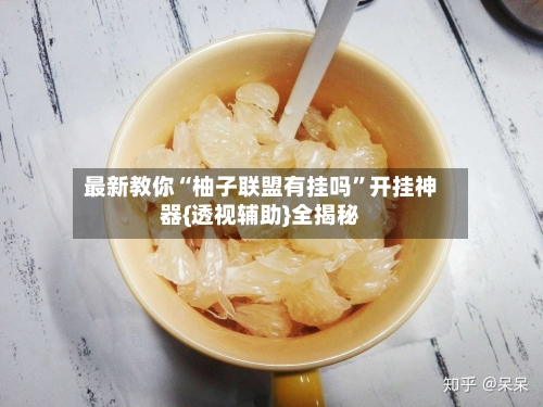 最新教你“柚子联盟有挂吗”开挂神器{透视辅助}全揭秘-第2张图片