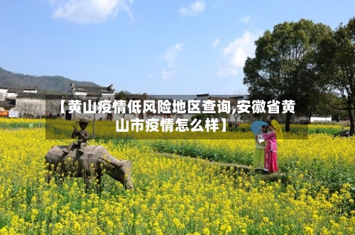 【黄山疫情低风险地区查询,安徽省黄山市疫情怎么样】-第2张图片