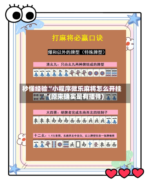 秒懂经验“小程序微乐麻将怎么开挂”(原来确实是有插件)-第3张图片