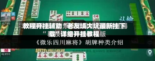 教程开挂辅助“老友填大坑最新挂下载	”详细开挂教程-第2张图片