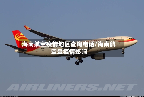 海南航空疫情地区查询电话/海南航空受疫情影响