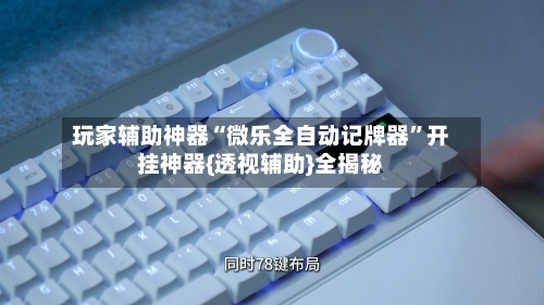 玩家辅助神器“微乐全自动记牌器”开挂神器{透视辅助}全揭秘-第3张图片