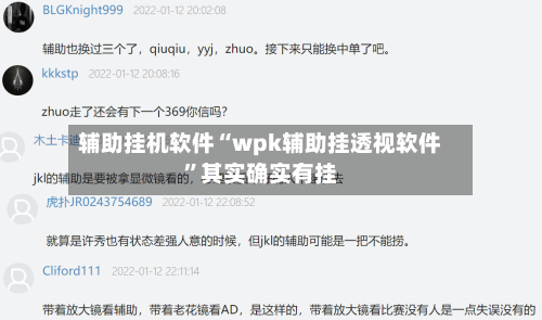 辅助挂机软件“wpk辅助挂透视软件”其实确实有挂-第2张图片