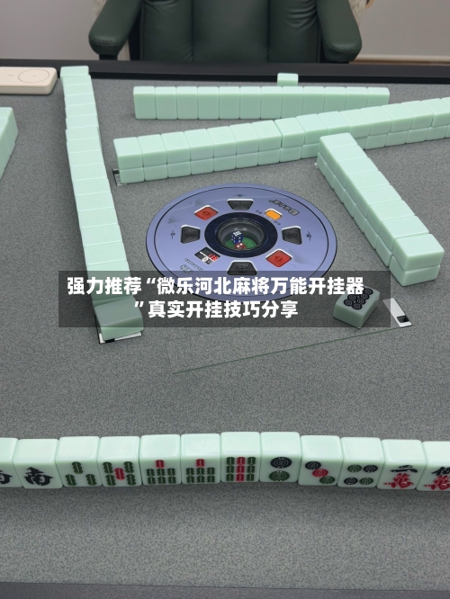 强力推荐“微乐河北麻将万能开挂器	”真实开挂技巧分享-第2张图片