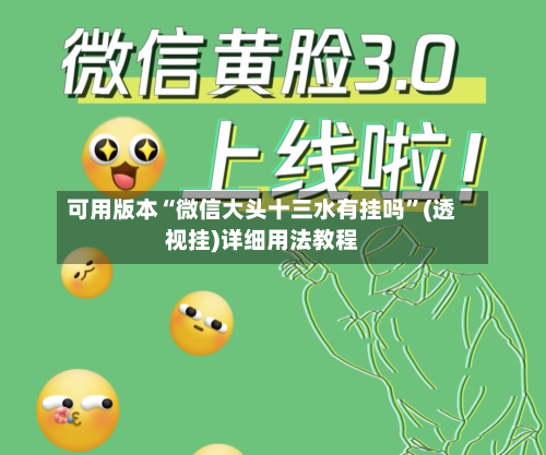 可用版本“微信大头十三水有挂吗	”(透视挂)详细用法教程-第2张图片