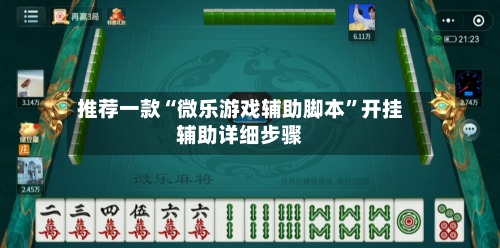 推荐一款“微乐游戏辅助脚本	”开挂辅助详细步骤-第2张图片