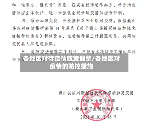 各地区对待疫情政策调整/各地区对疫情的防控措施