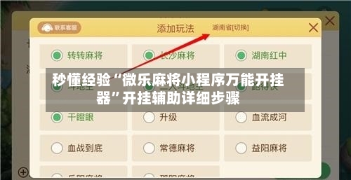 秒懂经验“微乐麻将小程序万能开挂器”开挂辅助详细步骤-第3张图片
