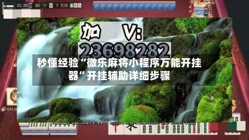 秒懂经验“微乐麻将小程序万能开挂器”开挂辅助详细步骤-第2张图片