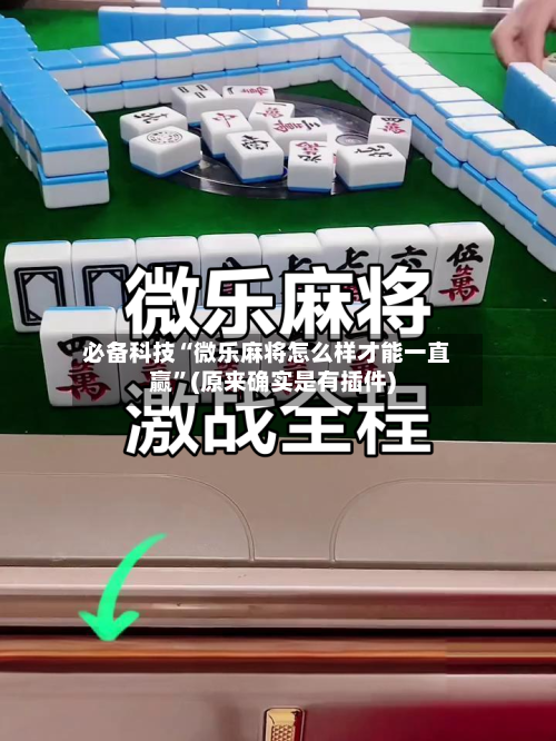 必备科技“微乐麻将怎么样才能一直赢	”(原来确实是有插件)-第2张图片