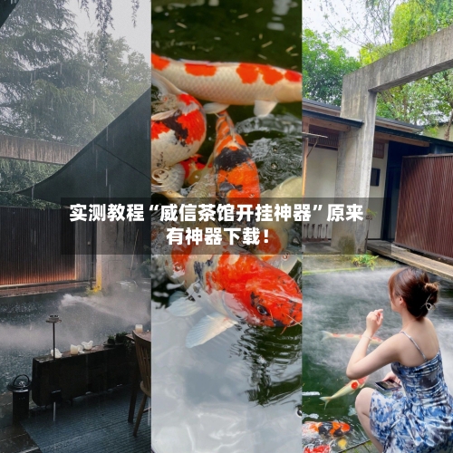 实测教程“威信茶馆开挂神器”原来有神器下载！-第2张图片