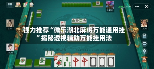 强力推荐“微乐湖北麻将万能通用挂	”揭秘透视辅助万能挂用法-第2张图片