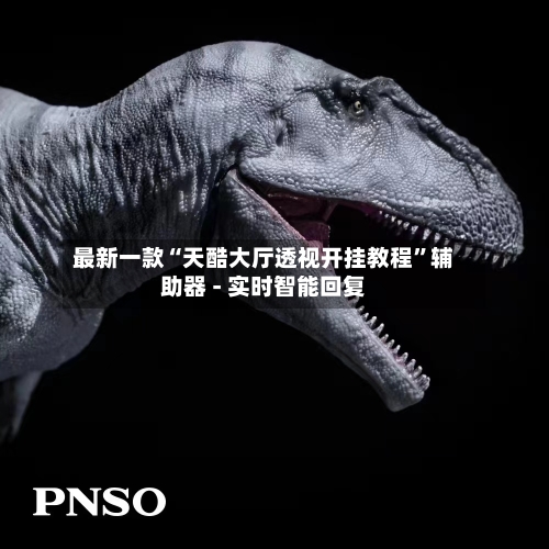 最新一款“天酷大厅透视开挂教程”辅助器 - 实时智能回复-第2张图片