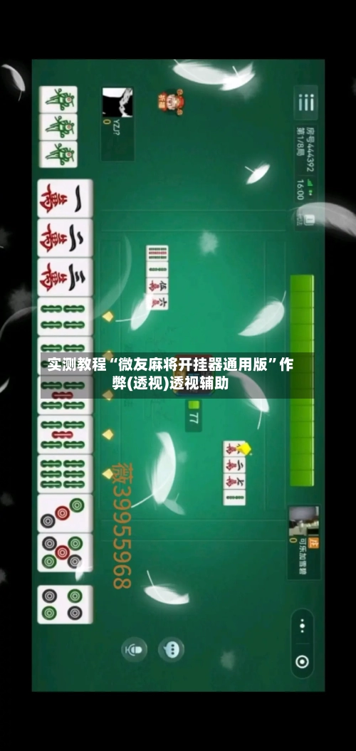 实测教程“微友麻将开挂器通用版”作弊(透视)透视辅助-第2张图片