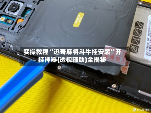 实操教程“迅奇麻将斗牛挂安装”开挂神器{透视辅助}全揭秘