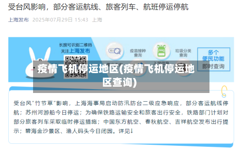 疫情飞机停运地区(疫情飞机停运地区查询)-第2张图片