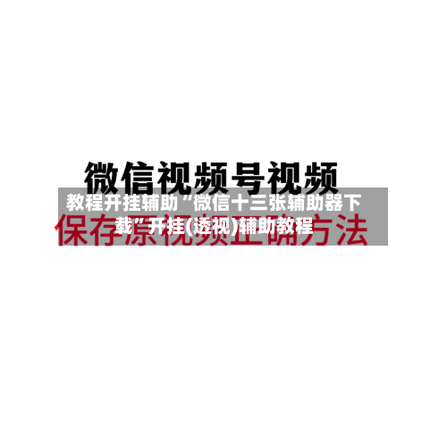 教程开挂辅助“微信十三张辅助器下载”开挂(透视)辅助教程-第2张图片