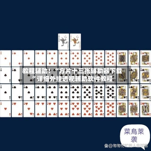 教程辅助！“方片十三张辅助器下载”详细外挂透视辅助软件教程-第2张图片