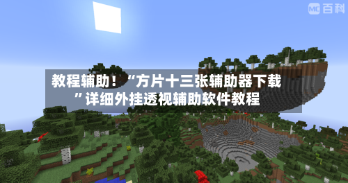 教程辅助！“方片十三张辅助器下载”详细外挂透视辅助软件教程-第3张图片