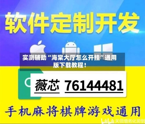 实测辅助“海棠大厅怎么开挂”通用版下载教程！-第3张图片