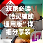 玩家必读“哈灵辅助通用版	”详细分享装挂步骤教程-第2张图片