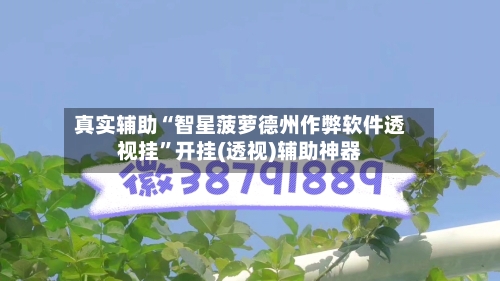 真实辅助“智星菠萝德州作弊软件透视挂”开挂(透视)辅助神器