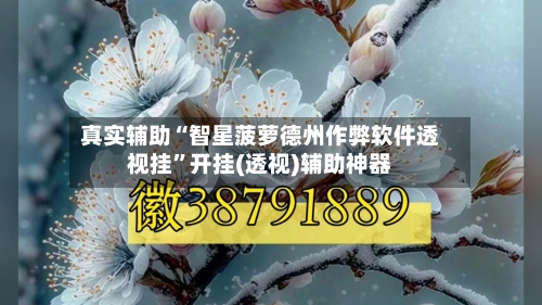 真实辅助“智星菠萝德州作弊软件透视挂”开挂(透视)辅助神器-第3张图片