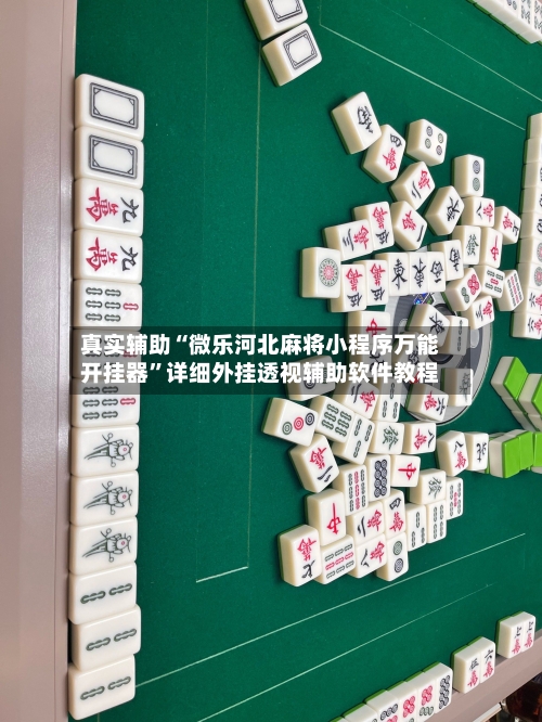 真实辅助“微乐河北麻将小程序万能开挂器”详细外挂透视辅助软件教程-第2张图片