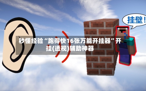 秒懂经验“跑得快16张万能开挂器”开挂(透视)辅助神器-第2张图片