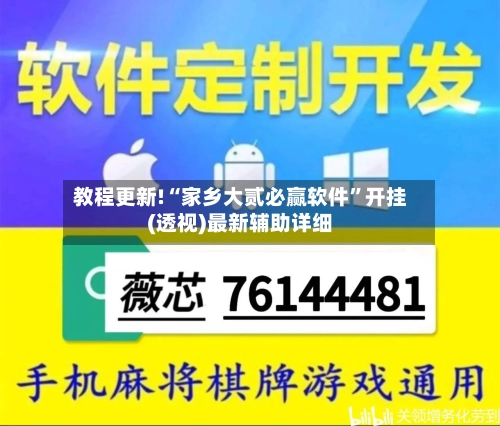 教程更新!“家乡大贰必赢软件”开挂(透视)最新辅助详细