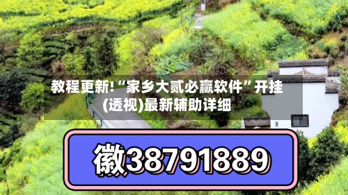 教程更新!“家乡大贰必赢软件	”开挂(透视)最新辅助详细-第2张图片