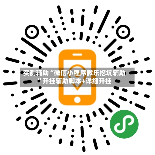 实测辅助“微信小程序微乐挖坑辅助”开挂辅助脚本+详细开挂-第2张图片