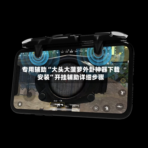 专用辅助“大头大菠萝外卦神器下载安装	”开挂辅助详细步骤-第2张图片