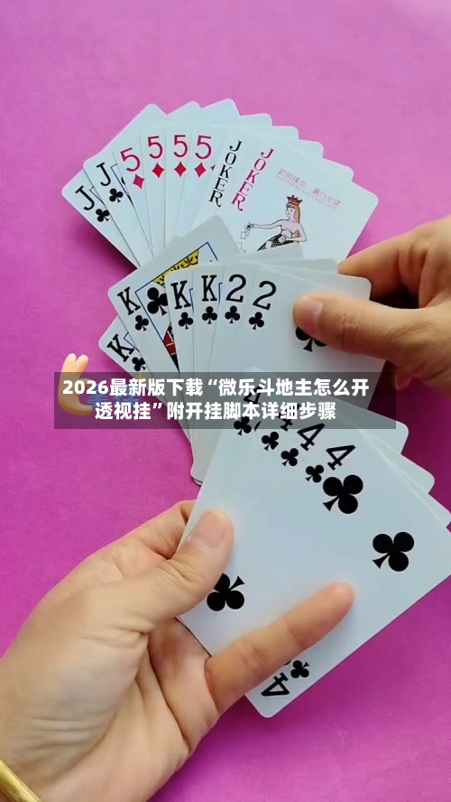 2026最新版下载“微乐斗地主怎么开透视挂”附开挂脚本详细步骤-第3张图片