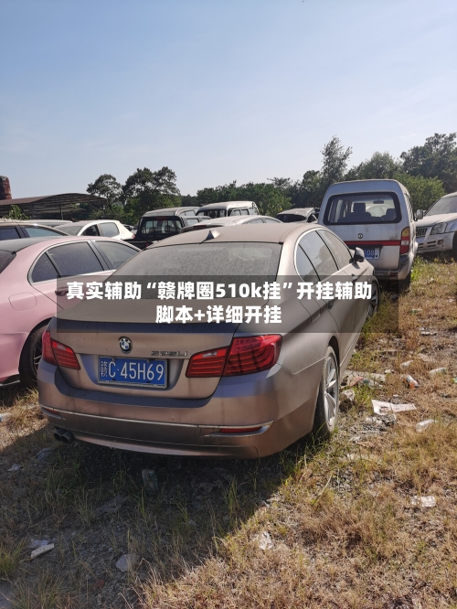 真实辅助“赣牌圈510k挂	”开挂辅助脚本+详细开挂-第2张图片