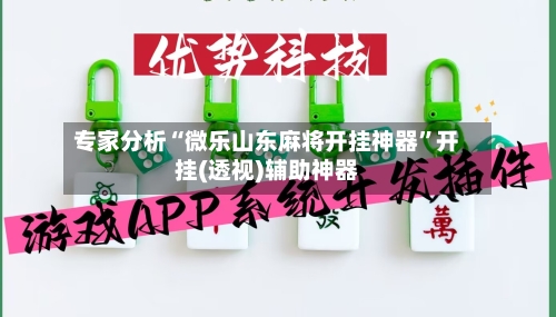 专家分析“微乐山东麻将开挂神器”开挂(透视)辅助神器-第3张图片